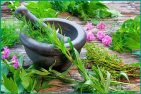 Herbs to restore male potency