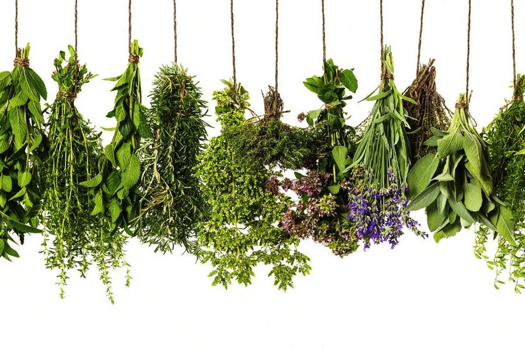 tropical herbal extract in Eroboost